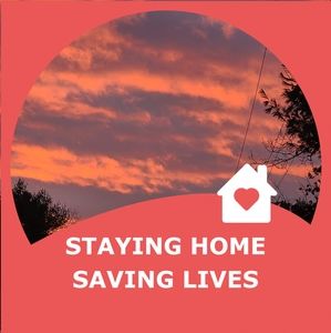 Meet your Posher, Hector